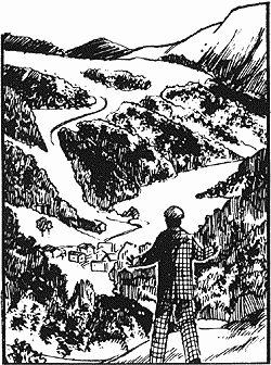 Twenty years later when he was in his forties, out young hiker visited this same area and was astounded at what he saw!