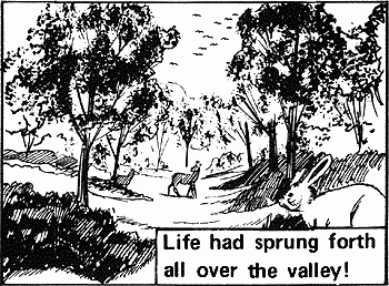 This one great valley was totally covered with a beautiful natural forest of all kinds of trees! Life had sprung forth all over the valley!